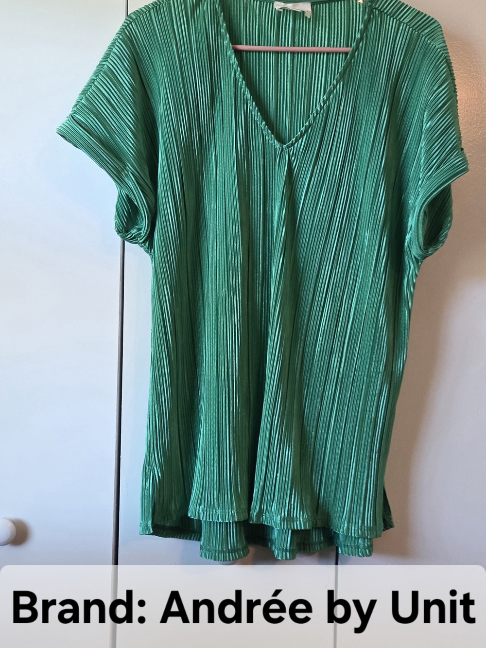 Andrée by Unit Green Pleated V-Neck Women’s Top